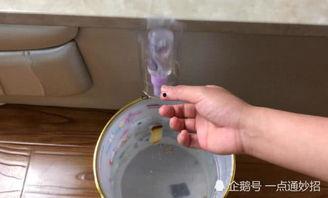 捕老鼠简单的方法视频,捕老鼠简单方法视频揭秘