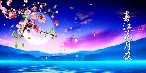 春江花月夜视频,诗意画卷中的江南风情