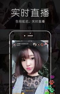 百合视频真人,百合视频中的情感故事