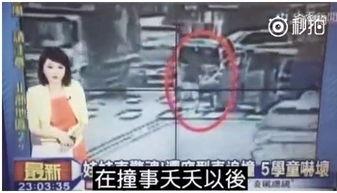 台湾女主播周怡德视频,台湾网红女主播的日常与魅力