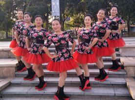 广场舞海草舞视频,全民健身新风尚