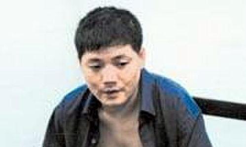 段国诚视频,揭秘成功背后的故事与智慧