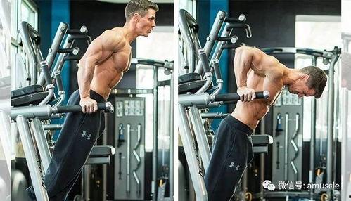 肌肉女胸肌变大视频,揭秘健身后的惊人变化