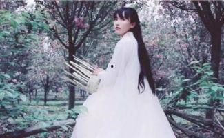 李子柒节目视频,田园生活美学与东方诗意