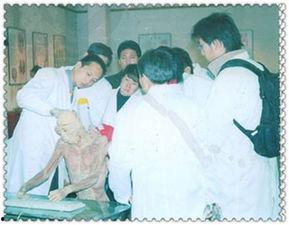 针灸百会视频,针灸百会穴位详解与实操技巧