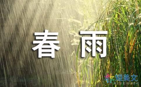 散文春雨的色彩视频,色彩斑斓画卷