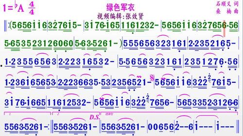 绿色军衣视频,探寻军旅风采的视觉盛宴