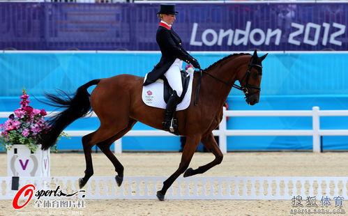 马术盛装舞步视频,马术盛装舞步演绎优雅与力量
