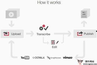 转录视频,深度解析内容精华，轻松掌握核心观点