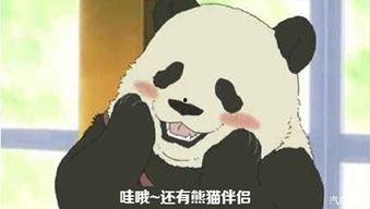 熊猫方正和静静的视频,温馨互动视频回顾