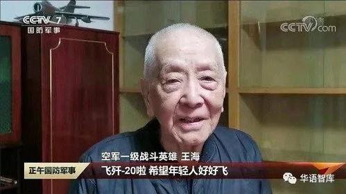 王海 视频,揭秘网络营销背后的真相与策略